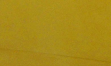 El evento contará con una difusión global a través de las plataformas de ABC y Disney+, llevando el legado de la salsa a la cima del Olimpo musical anglosajón.