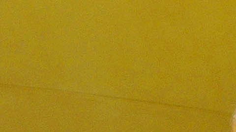 El evento contará con una difusión global a través de las plataformas de ABC y Disney+, llevando el legado de la salsa a la cima del Olimpo musical anglosajón.