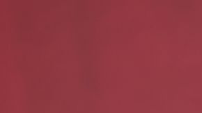 Alejandra Espinoza niega tener alguna enfermedad.