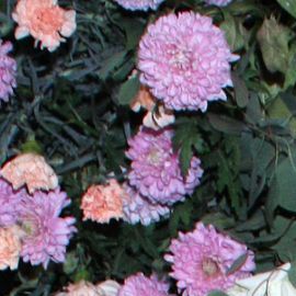 Azela Robinson sufre trastorno que le impide relacionarse en lugares públicos.