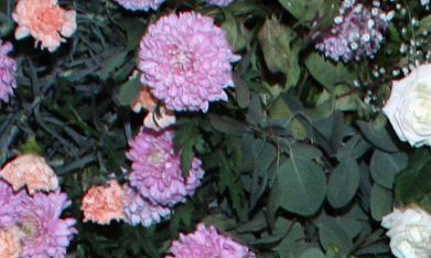 Azela Robinson sufre trastorno que le impide relacionarse en lugares públicos.