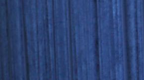 Gisella Aboumrad recauda fondos para ayudar a su madre.