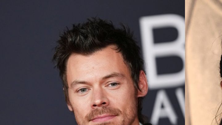 Harry Styles y Zoë Kravitz se habrían comprometido en matrimonio.