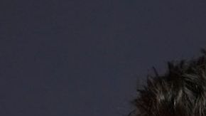 Harry Styles y Zoë Kravitz se habrían comprometido en matrimonio.