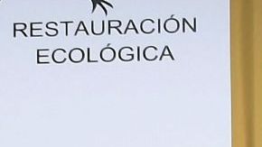 ¿Irina Baeva y Gabriel Soto se unirían de nuevo en una telenovela?