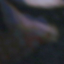 Javier Poza defiende la credibilidad de la producción de 'LCDLF 6'.