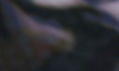 Javier Poza defiende la credibilidad de la producción de 'LCDLF 6'.