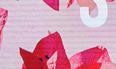 Laura Zapata señala a 'El Divo' como acosador por lo que le hizo a Celinee en 'LCDLF 6'.