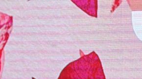 Laura Zapata señala a 'El Divo' como acosador por lo que le hizo a Celinee en 'LCDLF 6'.