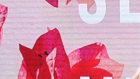 Laura Zapata señala a 'El Divo' como acosador por lo que le hizo a Celinee en 'LCDLF 6'.