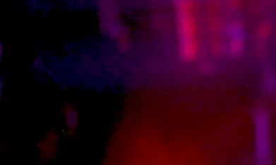 Niurka Marcos hace escándalo tras ser eliminada de 'La Mansión VIP'.