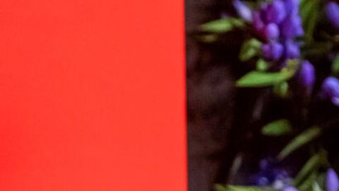 Offset recibió un disparo en tiroteo en Hollywood.