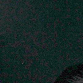 Renata Notni y Diego Boneta habrían finalizado su noviazgo tra cinco años juntos.