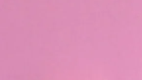 La ruptura entre los artistas se hizo pública a principios de 2026, cuando el portal TMZ informó que la decisión se debió a que sus apretadas agendas profesionales hacían casi imposible mantener el vínculo.