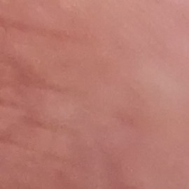 Hall ya había tenido roces previos con la justicia. En junio de 2020 fue arrestado en Weatherford, Texas, tras ser vinculado a un delito menor relacionado con la posesión de una sustancia química volátil destinada a su inhalación o consumo.