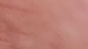 Hall ya había tenido roces previos con la justicia. En junio de 2020 fue arrestado en Weatherford, Texas, tras ser vinculado a un delito menor relacionado con la posesión de una sustancia química volátil destinada a su inhalación o consumo.