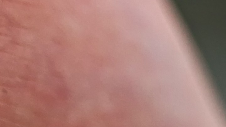 Hall ya había tenido roces previos con la justicia. En junio de 2020 fue arrestado en Weatherford, Texas, tras ser vinculado a un delito menor relacionado con la posesión de una sustancia química volátil destinada a su inhalación o consumo.