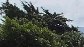 Fotografía cedida este domingo por Roberta Durço que muestra a una persona observando un fragmento de uno de los helicópteros que colisionaron en el barrio Recreio dos Bandeirantes, en Río de Janeiro (Brasil). La colisión de dos helicópteros esta mañana deja un saldo de al menos seis personas fallecidas, según informaron fuentes oficiales. EFE/ Roberta Durço.