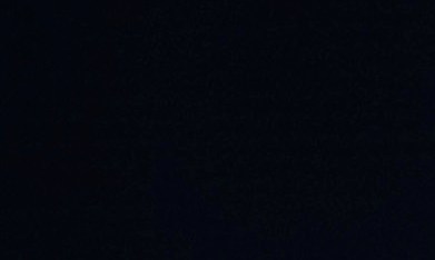 Desde hoy comienzan las preventas en la página web de Taylor Swift  de tres ediciones exclusivas en CD que incluyen el nuevo sencillo tal como aparece en la película, una versión acústica especial y una versión especial para piano, todas con voces y producción únicas.