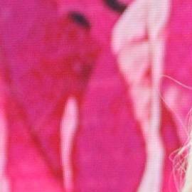 Telemundo decepcionó a Laura Zapata, según confesó la actriz.
