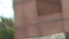 Elsa Aguirre construyó una carrera que abarcó varias décadas y que la consolidó como una de las actrices más queridas por el público mexicano.