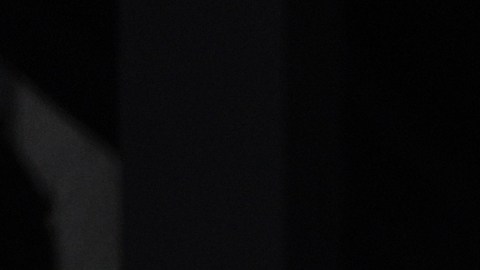 Los fondos recaudados de dicha actividad serán administrados por reconocidas organizaciones humanitarias internacionales para responder a las necesidades que irán surgiendo durante las distintas fases de recuperación.