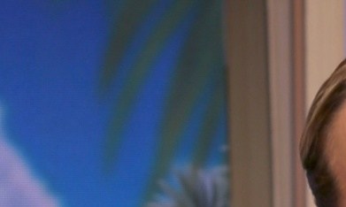 Adamari López frena la polémica sobre sus supuestos ataques contra los mexicanos.