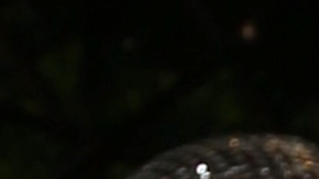 13290-chynoynachoradiovenezuelapresmia04 (1)