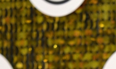 Elena Rose recibió la noticia de su nominación durante un vuelo de avión.
