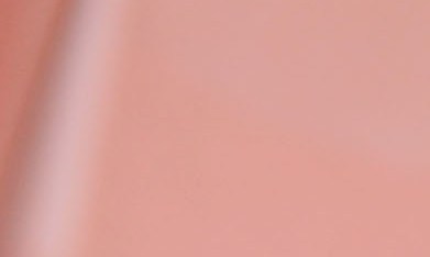 Perez Hilton