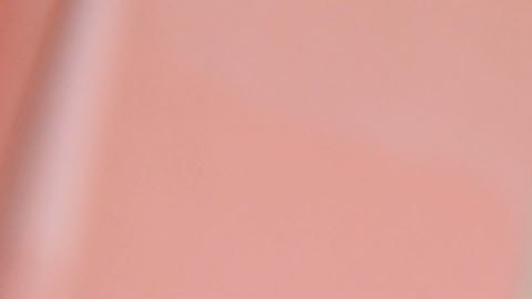 Perez Hilton