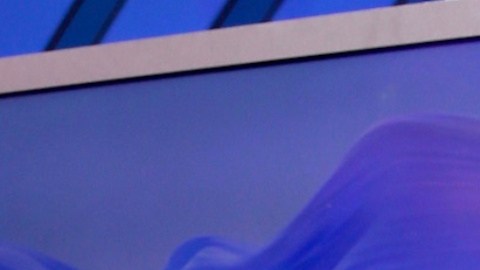 Ariadna Gutiérrez se convirtió en la esposa de un importante empresario.
